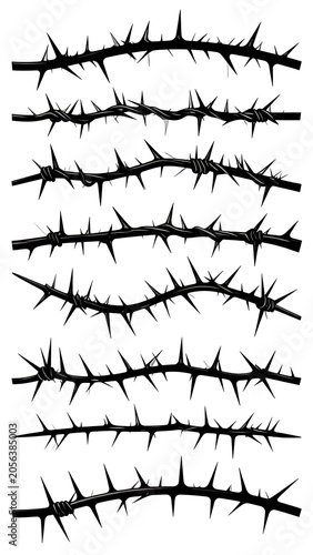 A collection of black thorny branches on white background
