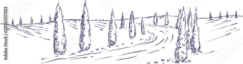 Hand-drawn vector ink sketch of traditional Tuscan landscape featuring winding country road lined with classic cypress trees on rolling hills in Italy.