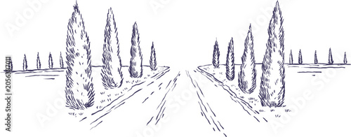 Vector ink drawing of straight country road with symmetrical perspective, lined with tall cypress trees under minimal Tuscan horizon.