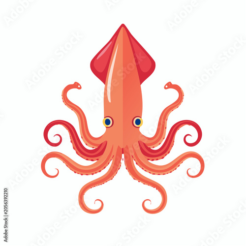 Stylized Orange Squid Illustration