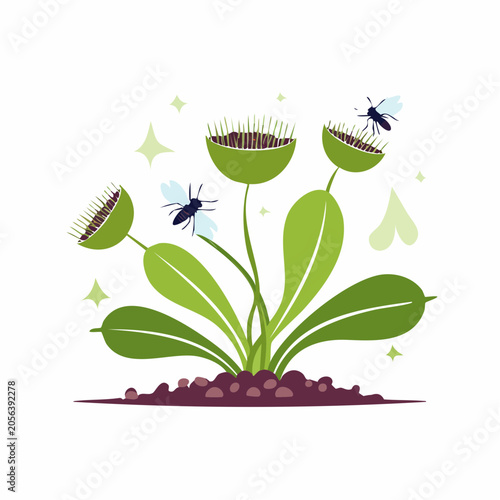 Venus Flytrap Plant with Flies