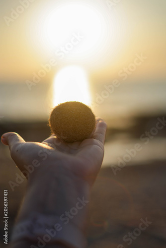 Close up of a hand holding a natural posidonia oceanica sea ball against a golden sunset ocean background