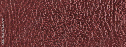 Obraz na plátně Burgundy red leather texture background, premium grained leather surface macro,