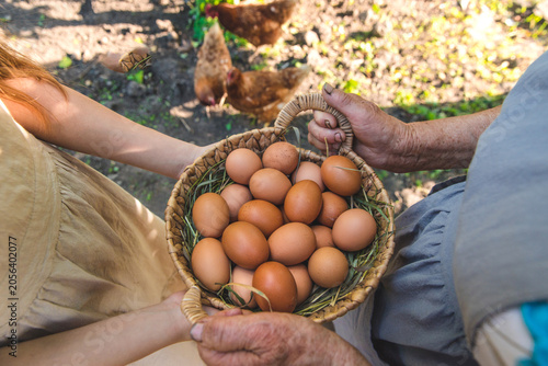 Bild auf Leinwand Chicken eggs on the farm. Selective focus.