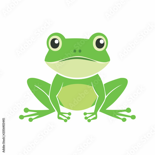 Green Frog Illustration