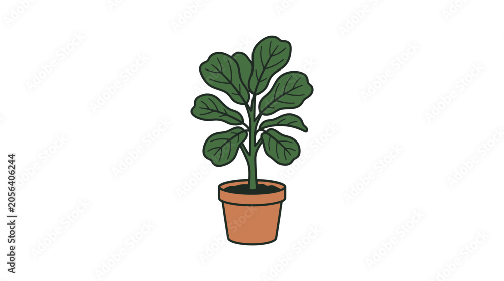 Fototapeta premium Fiddle Leaf Fig Plant in Terracotta Pot, Vector Illustration