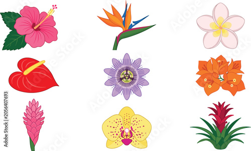 Bild auf Leinwand Tropical Exotic Flowers Vector Icon Set Featuring Hibiscus Orchid Plumeria and B