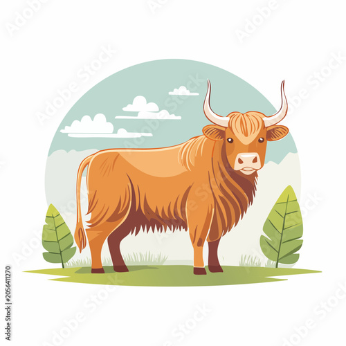 Highland Cow Illustration