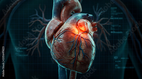 Cardiovascular Health Issues: 3D human heart with glowing pain area on a futuristic medical scan background.
