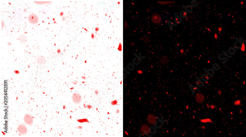 Bild auf Leinwand Red blood cells under microscope, microscopic view of human blood cells on white
