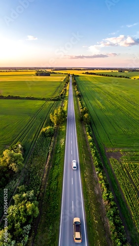 Aerial view of a road cutting through green fields at sunset