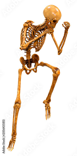 3D Rendering Human Skeleton on White