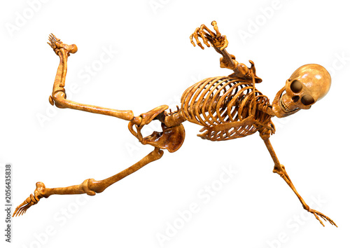 3D Rendering Human Skeleton on White