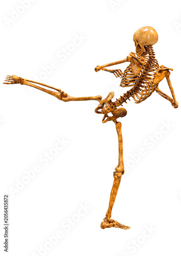 3D Rendering Human Skeleton on White