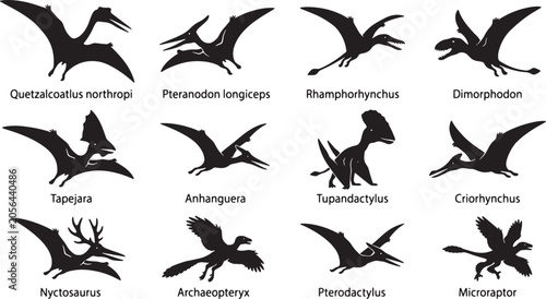 Obraz na płótnie Prehistoric Flying Reptile Silhouettes, Pterosaur Vector Icons Set, Ancient Dino
