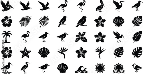 Canvastavla Tropical Birds Flowers And Seashells Silhouette Collection On White Background