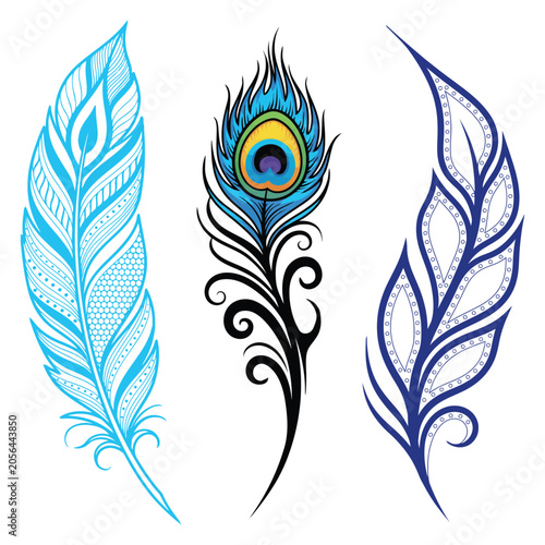 Set of Feathers and Peacock Feather Vector Illustration