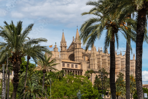 Majestic Gothic cathedral framed by lush green palm trees under a cloudy blue sky, showcasing beautiful historic architecture in a sunny resort town.
