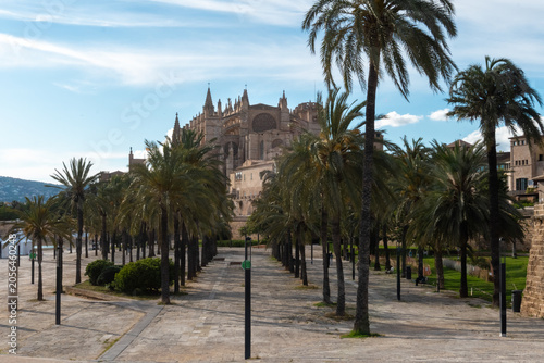 Majestic Gothic cathedral framed by lush green palm trees under a cloudy blue sky, showcasing beautiful historic architecture in a sunny resort town.
