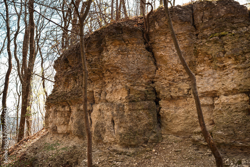 Layered Rock Formation in Spring Forest