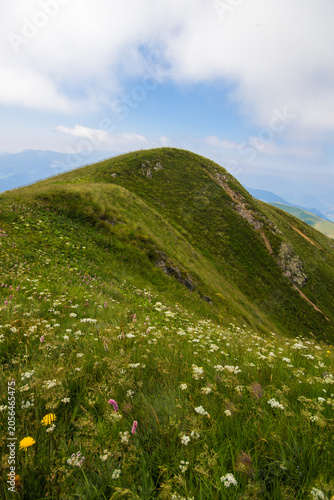 Paesaggio prealpino