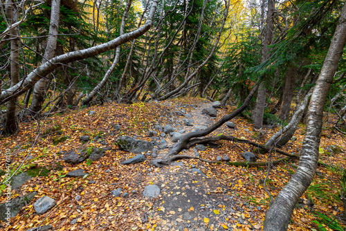 View of a forest trail for hiking, leading up the mountain slope