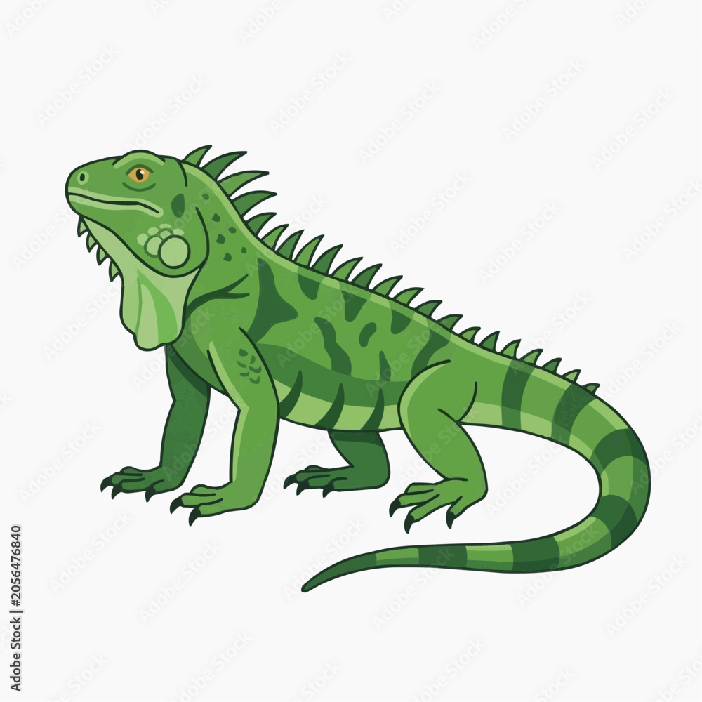 Fototapeta premium Green Iguana Illustration: A vibrant illustration of a green iguana, showcasing its distinctive crest and textured skin, posed confidently against a clean backdrop.
