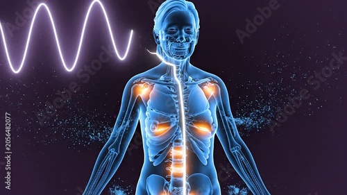 Abstract Visualization of Human Body Scan Highlighting Frailty Risk with Glowing Energy Points Against a Dark Background for Healthcare and Biotechnology