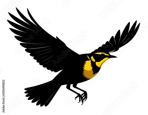 A black bird with yellow markings on its face and chest in mid-flight