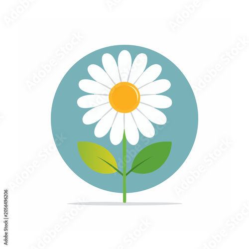 Flat Daisy Flower Vector Illustration