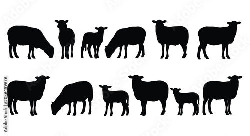 Fotografie Sheep Silhouettes A Collection Of Black Animal Shapes On White Background