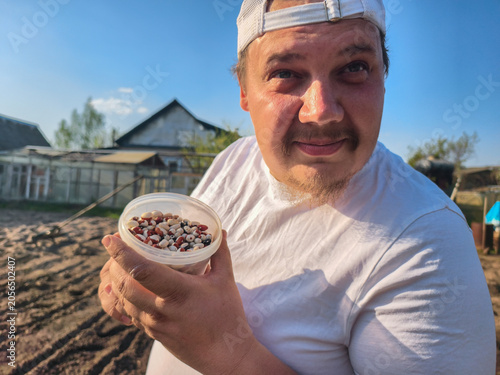 Slika na platnu Man holding a clear plastic container of colorful bean seeds, ready to sow them into a sunny backyard garden bed, preparing for a homegrown spring harvest and healthy crops