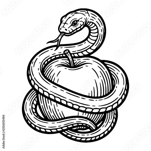 Illustration of a snake coiled around an apple, temptation and forbidden fruit concept, vintage engraving style