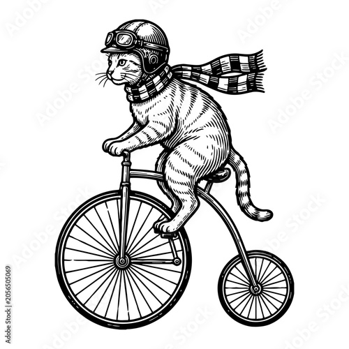 Vintage line art cat wearing helmet and scarf riding a penny-farthing bicycle, whimsical character design