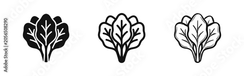 Fotografie Spinach or leafy greens icon set
