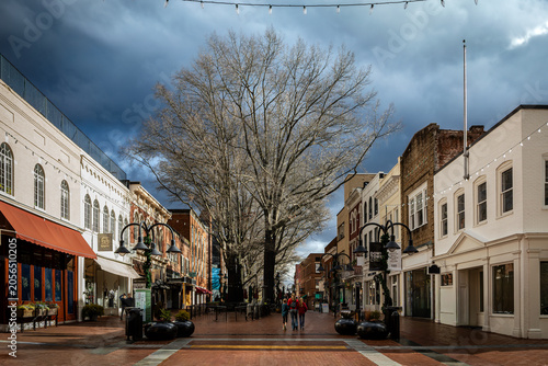 Small downtown buildings with tree on walking mall - Charlottesville, Virginia updated