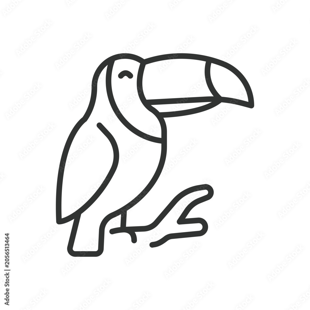 Fototapeta premium Toucan bird, icon in line design. toucan, bird, tropical, animal, wildlife, nature, beak on white background vector. Toucan bird editable stroke icon