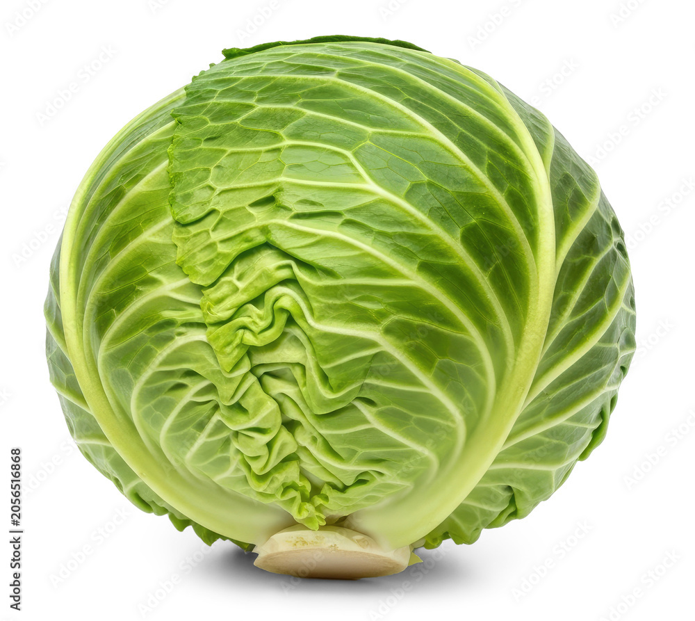 Fototapeta premium A whole, green cabbage sits on a transparent background. The cabbage has tightly packed, crinkled leaves and a round shape.