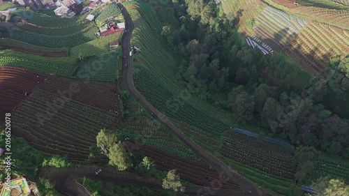 green hills seen from drone