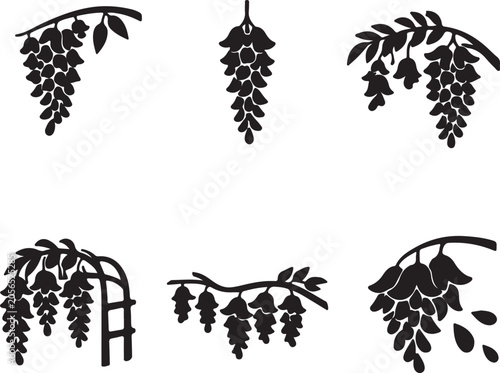 Wisteria Flower  Icon – Vector Illustration