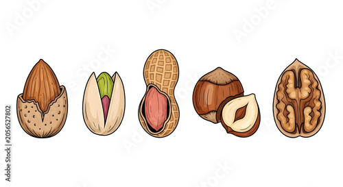 A colorful illustration of various nuts including almonds and walnuts on a white background.