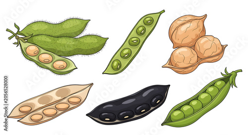 Various legume pods and seeds are displayed on a surface