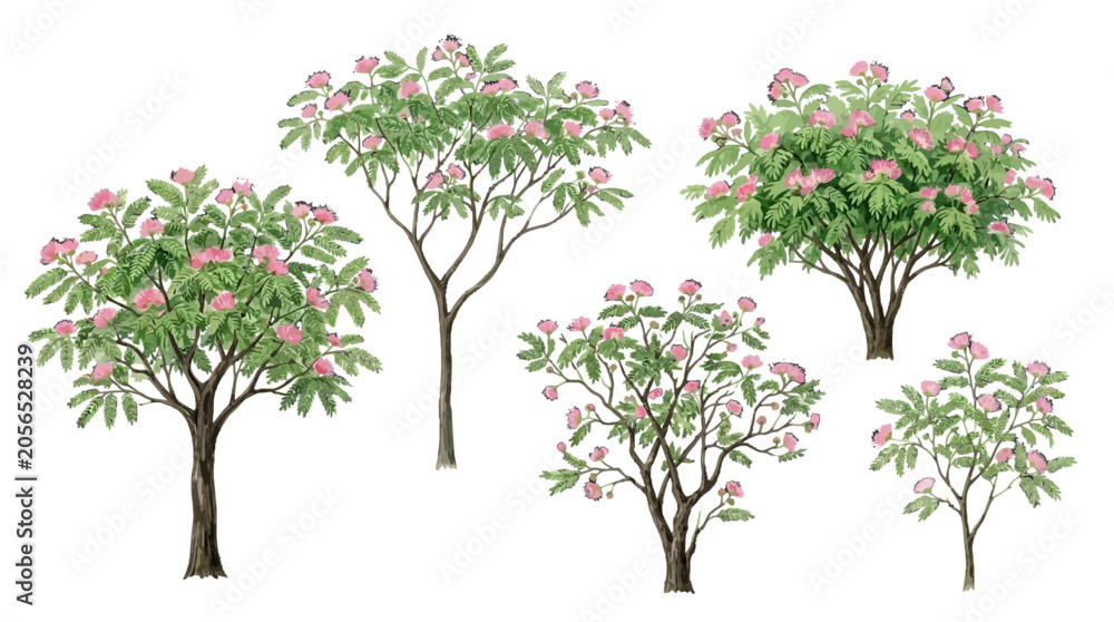 Obraz premium Beautiful flowering trees with pink blossoms showcasing vibrant springtime flora