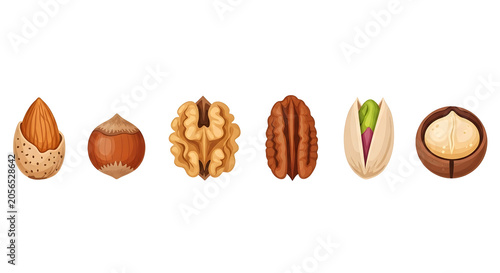 A variety of nuts including almonds, hazelnuts, walnuts, pecans, and peanuts are arranged on a table.