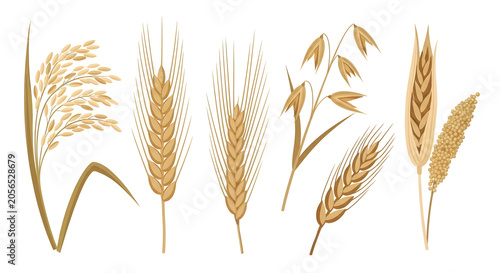 Golden wheat stalks are swaying gently in the breeze outdoors