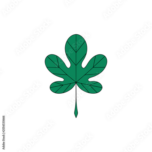 Fig leaf vector illustration isolated on white background depicting a green color and natural design element.