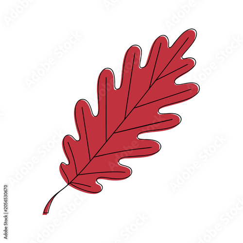 Oak leaf vector illustration isolated on white background depicting a vibrant red color and natural design element.
