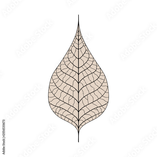 Abstract leaf pattern graphic, botanical art design, nature inspired vector illustration with organic texture details.