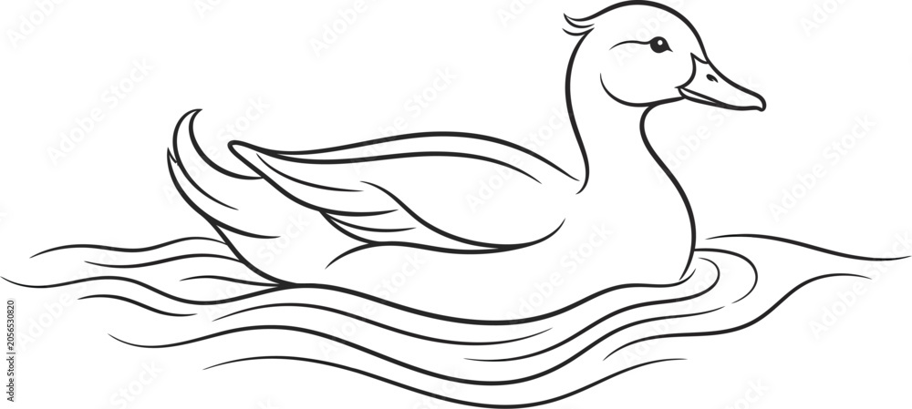 Fototapeta premium white duck with reflection
