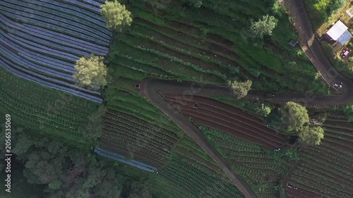 green hills seen from drone